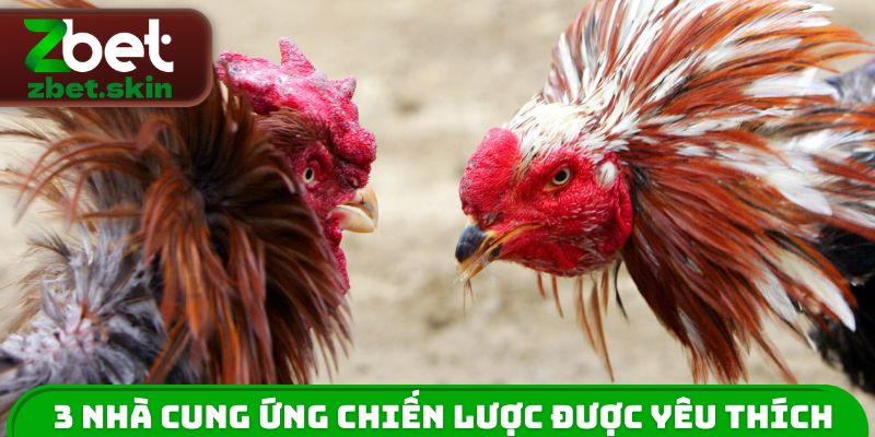 3 nhà cung ứng chiến lược được yêu thích