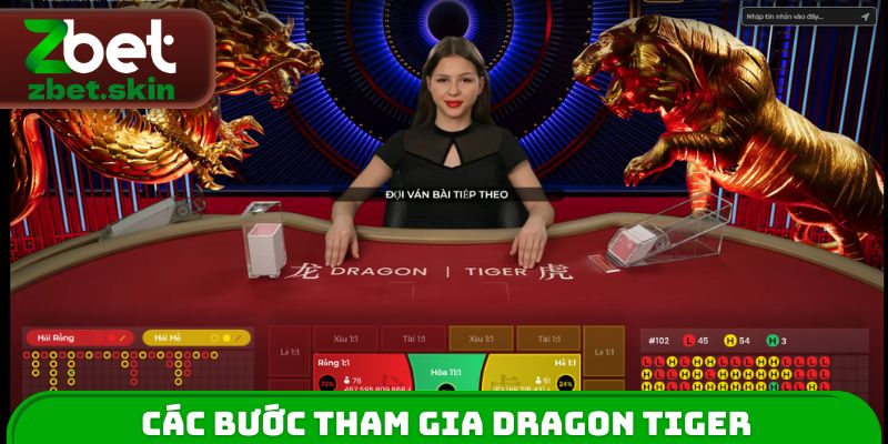 Các bước tham gia Dragon Tiger nhà cái đổi thưởng