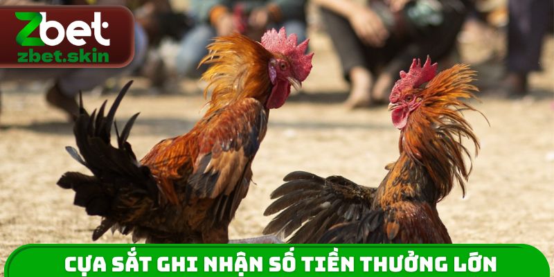 Cựa sắt ghi nhận số tiền thưởng lớn