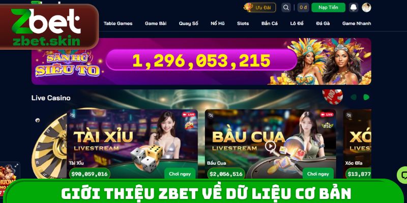 Giới thiệu ZBET về dữ liệu cơ bản